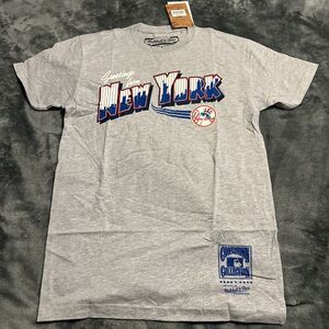 SMALL Mitchell & Ness Mens New York Yankees MLB NYC Postcard Yankees Tee